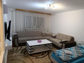 Apartman Radovic Pale